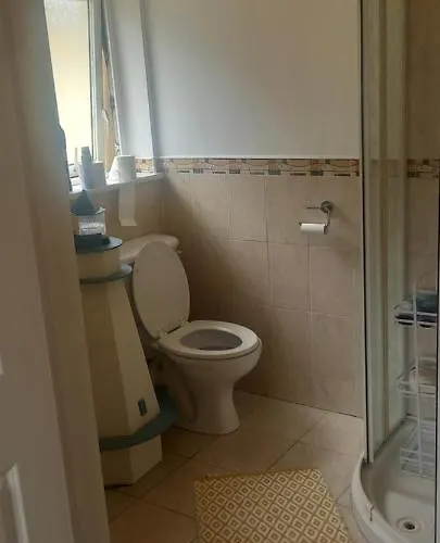 1 Cartrun Breac N39d7h6 Opposite Rugby Club - The Yellow Door Longford