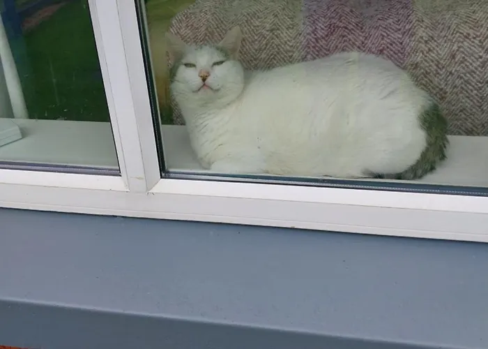 1 Cartrun Breac N39d7h6 Opposite Rugby Club - The Yellow Door Alojamento de Acomodação e Pequeno-almoço *